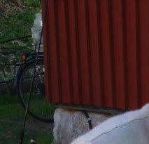 Regnbåge