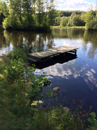 Ingers brygga! Här har man många finna fiskemöjligheter .kasta korta kast till vänster så ni fiskar av inloppet innan ni går ut på bron. Fiska sen av mellan ö och land  och mellan ö och ö. kast åt höger sida är problematiskt med spinn då det för närvarande är mycket växtlighet där, men det går bra med torrfuga. då fiskar du hörna och bort mot lilla bryggan